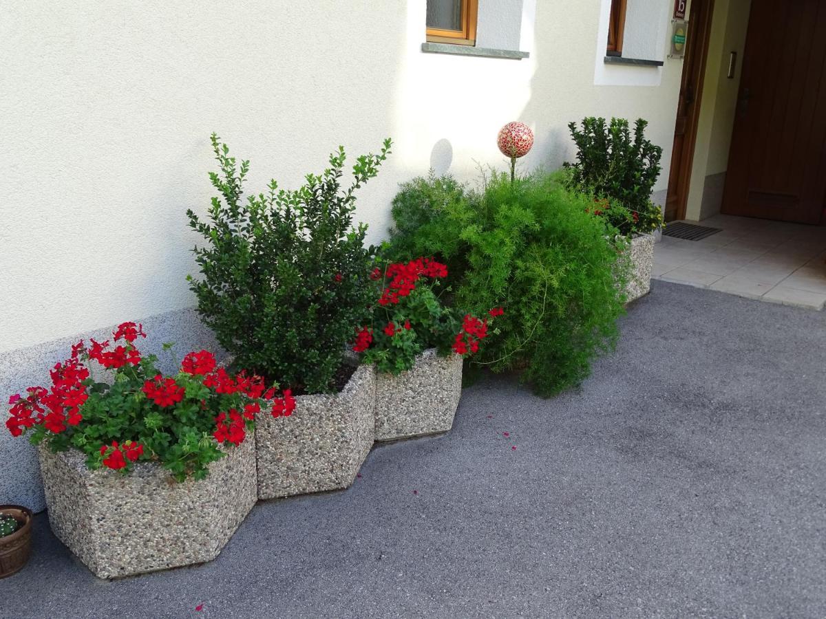Appartement Sylvester Matrei in Osttirol Exteriér fotografie